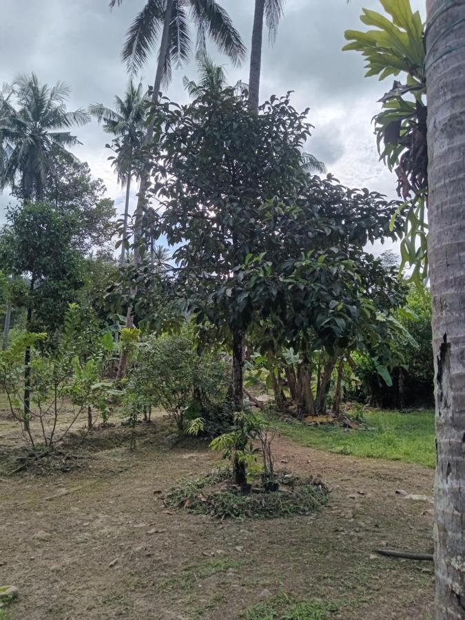 Chom Suan Farmstay Ko Kut المظهر الخارجي الصورة