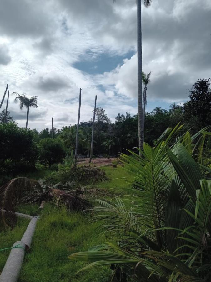 Chom Suan Farmstay Ko Kut المظهر الخارجي الصورة