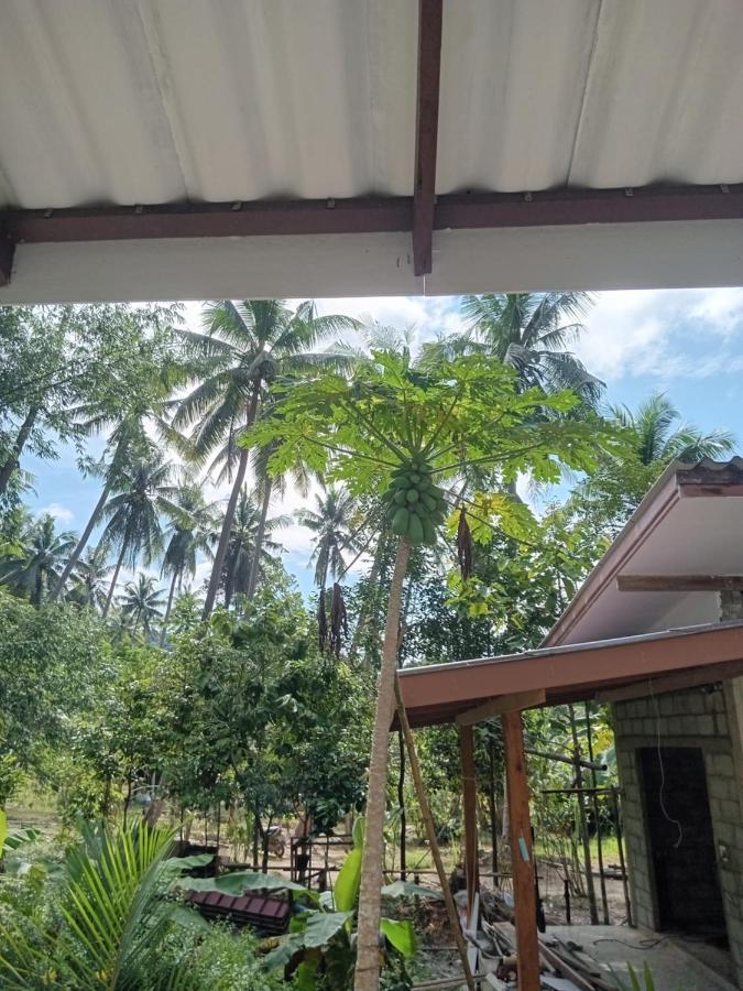 Chom Suan Farmstay Ko Kut المظهر الخارجي الصورة