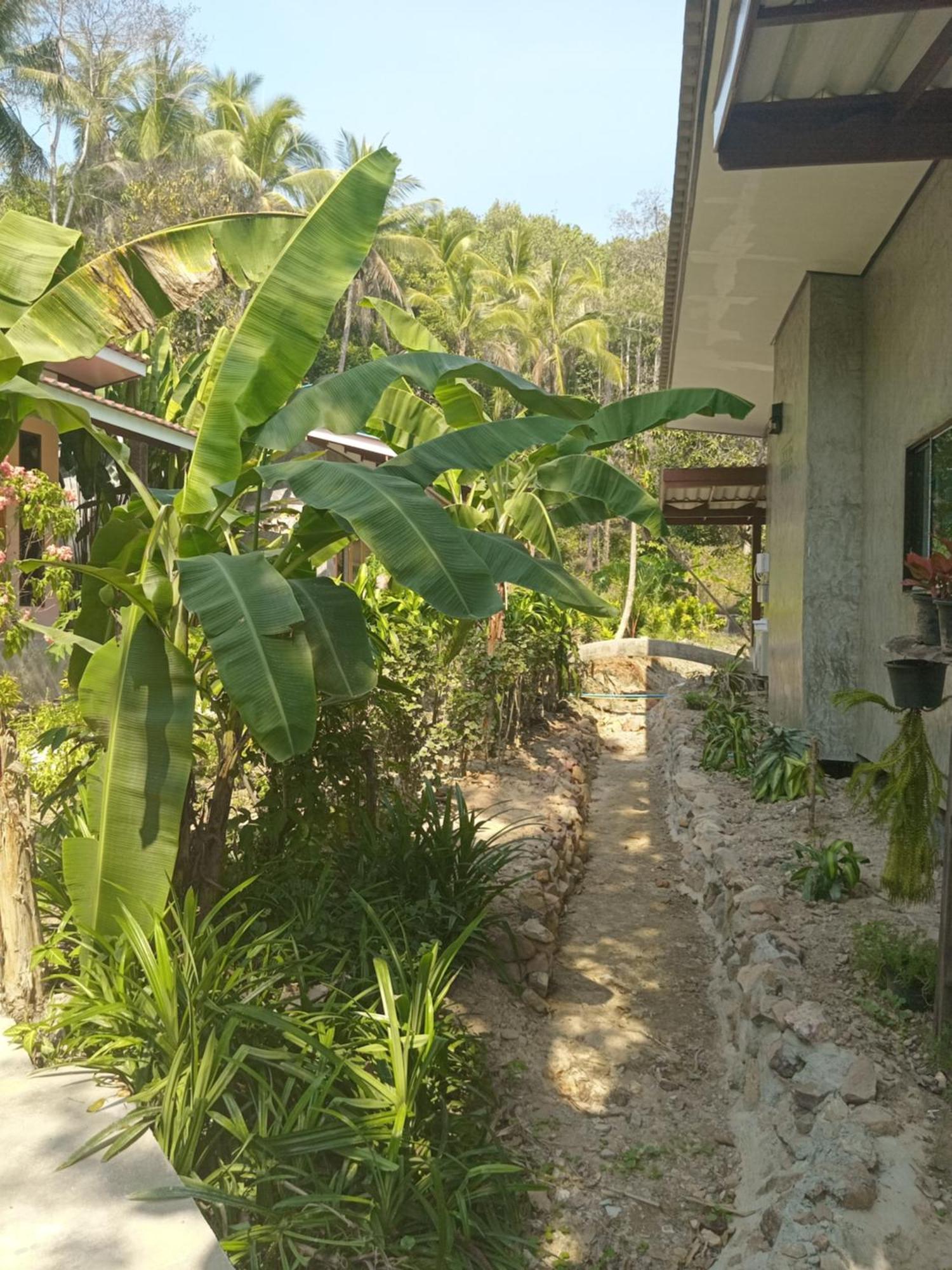Chom Suan Farmstay Ko Kut المظهر الخارجي الصورة
