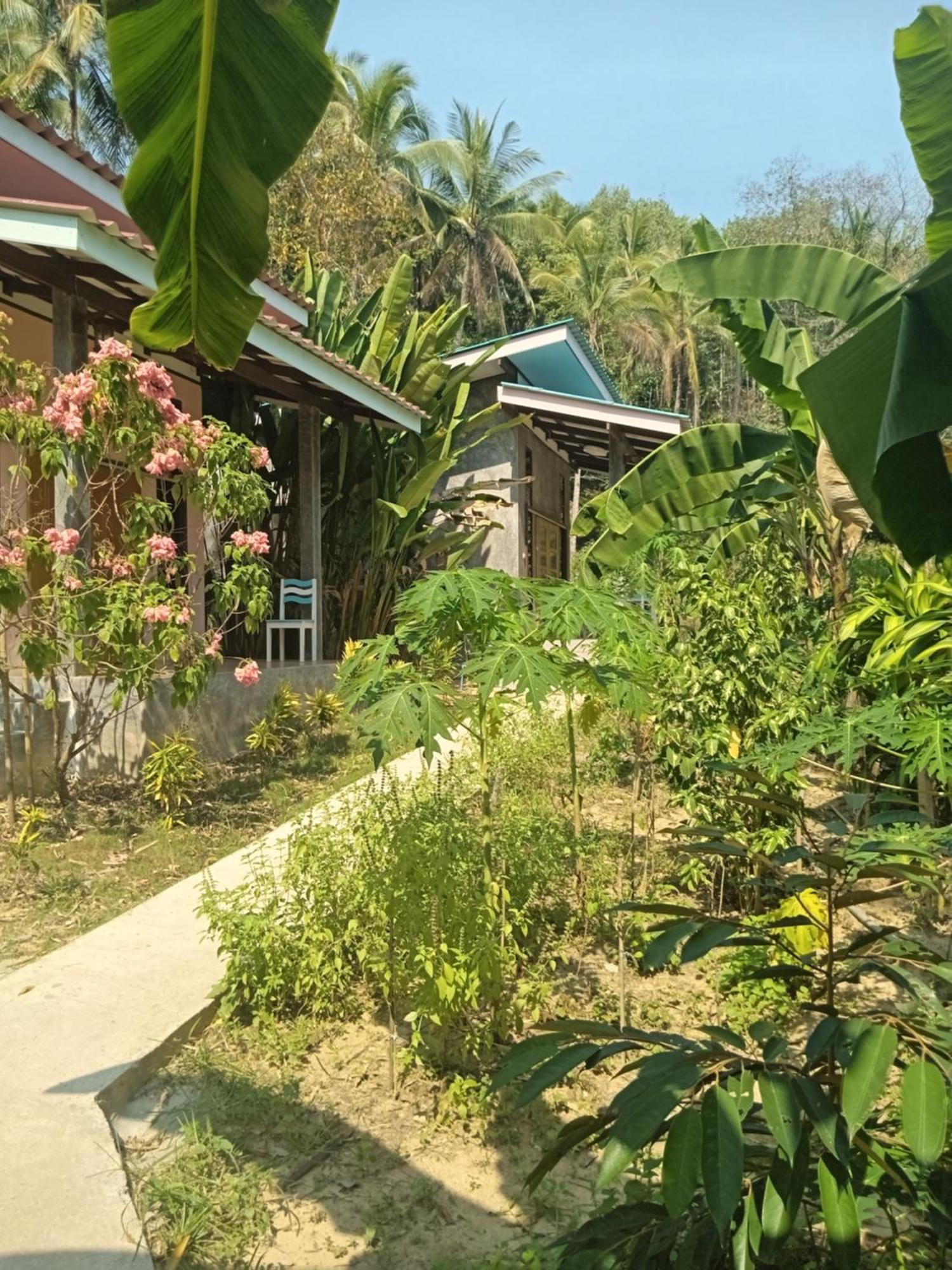 Chom Suan Farmstay Ko Kut المظهر الخارجي الصورة